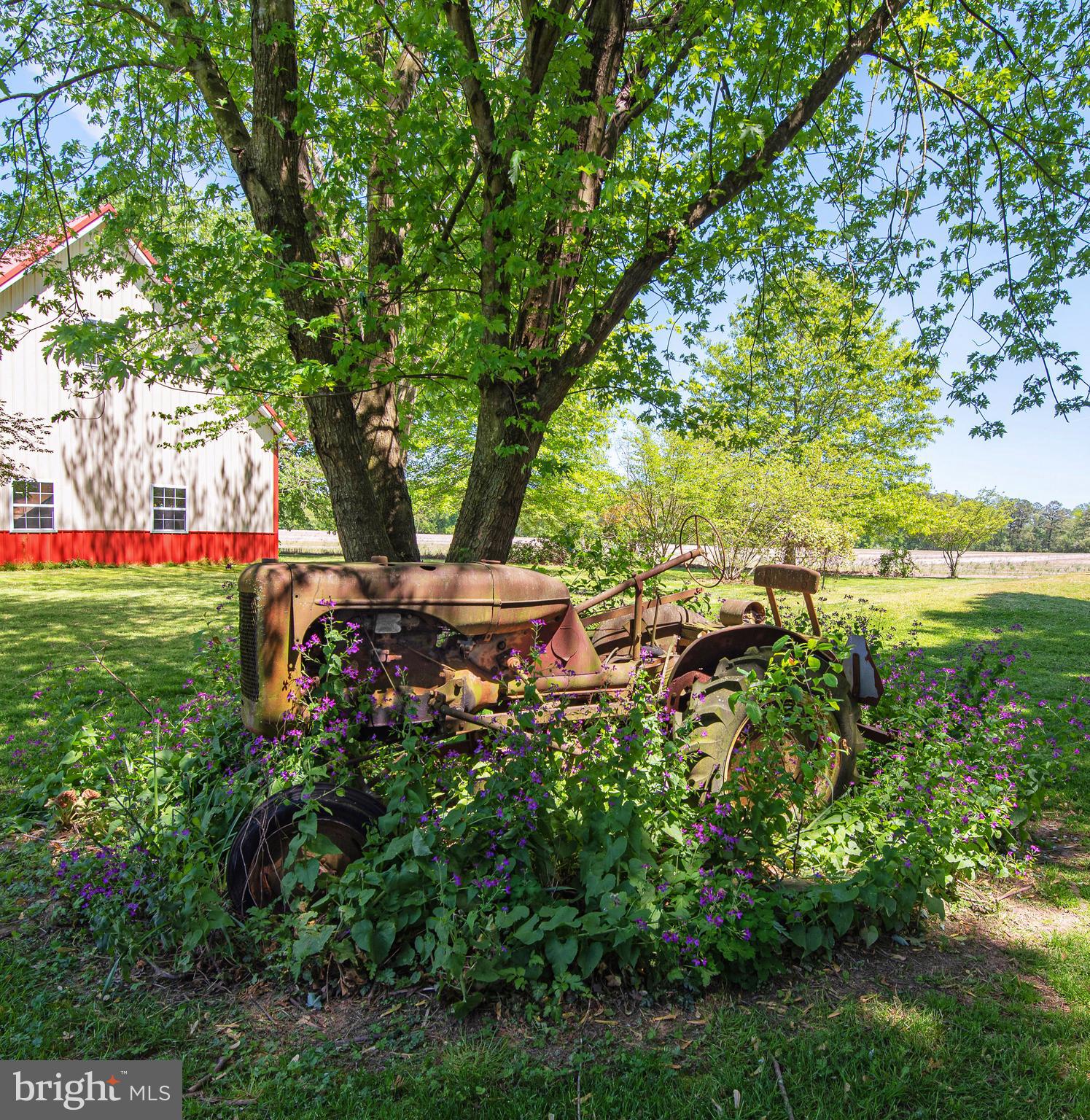 4731 Bucktown Road Cambridge, MD 21613 - Photo 112 of 125 Gallery Image 112