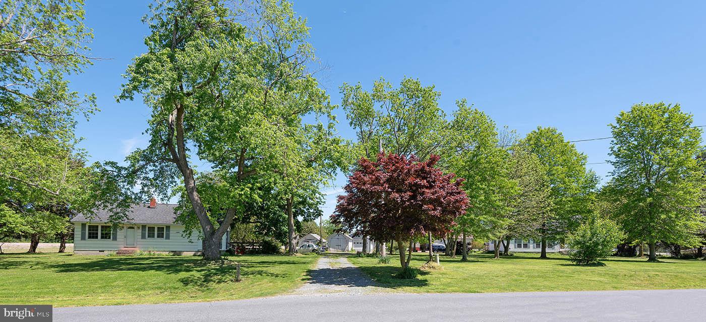 4731 Bucktown Road Cambridge, MD 21613 - Photo 14 of 125 Gallery Image 14