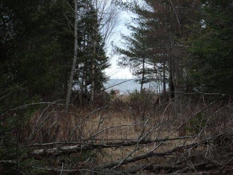 North Ridge Road Black River, MI 48721 - Photo 13 of 17 Gallery Image 13