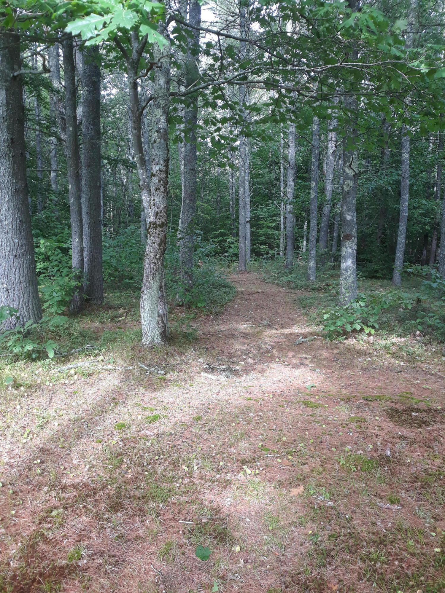 238 Huff Road Lyman, ME 04002 - Photo 3 of 55 20200903_155637