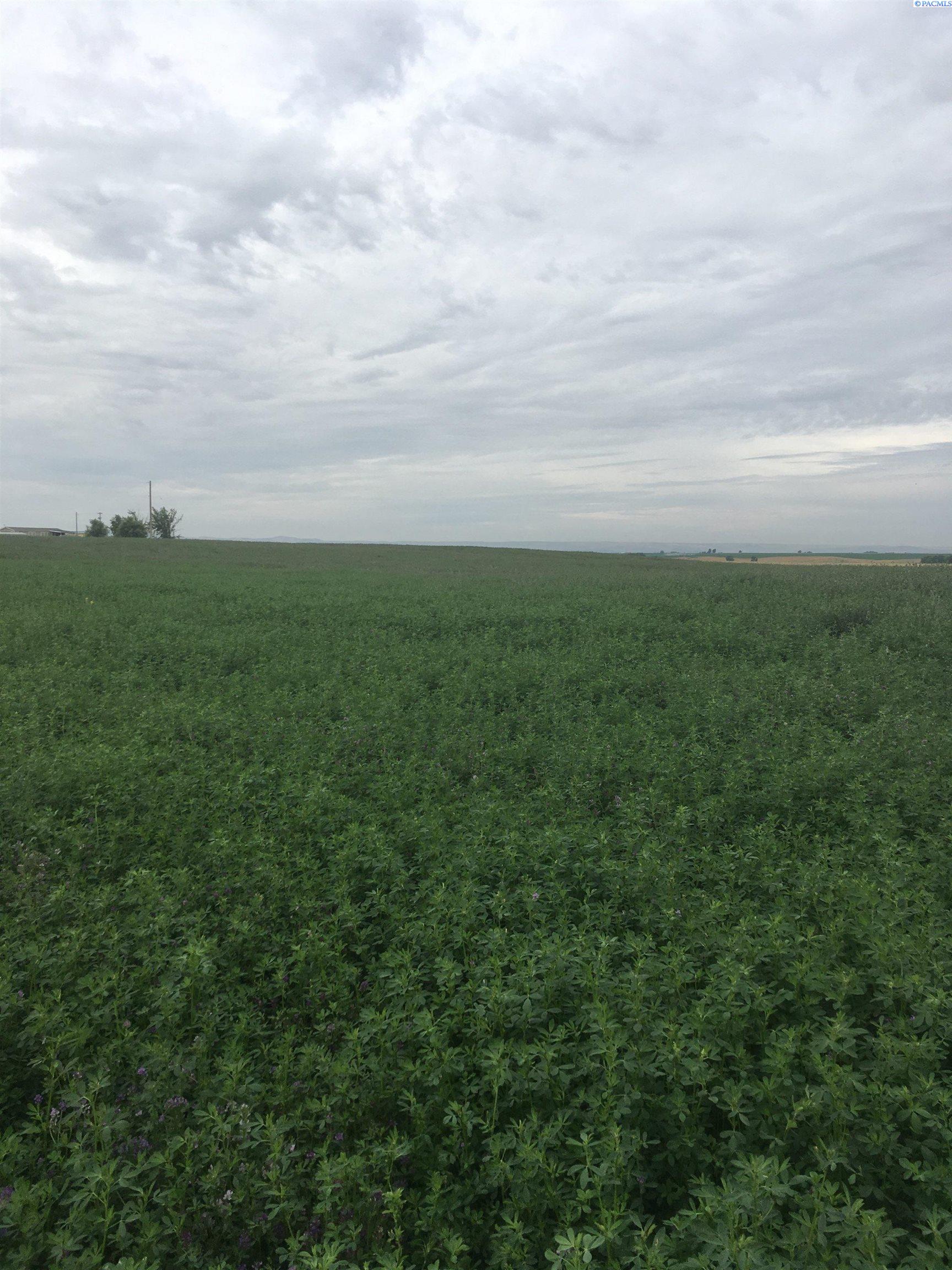 Nka Tree Farm Road Pasco, WA 99301 - Photo 1 of 1 Gallery Image 1