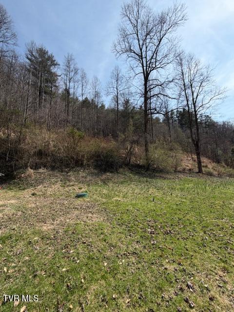 4434 Honey Branch Road St. Paul, VA 24283 - Photo 23 of 41 IMG_4811