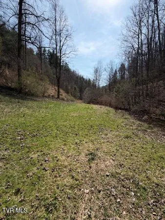 $114,000 | 4434 Honey Branch Road, St. Paul, VA 24283
