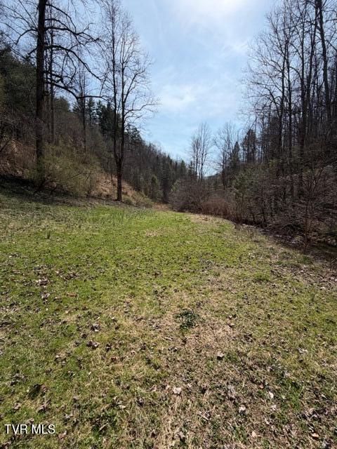 4434 Honey Branch Road St. Paul, VA 24283 - Photo 24 of 41 IMG_4812