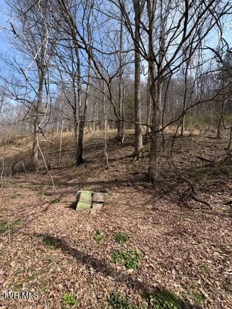 $114,000 | 4434 Honey Branch Road, St. Paul, VA 24283