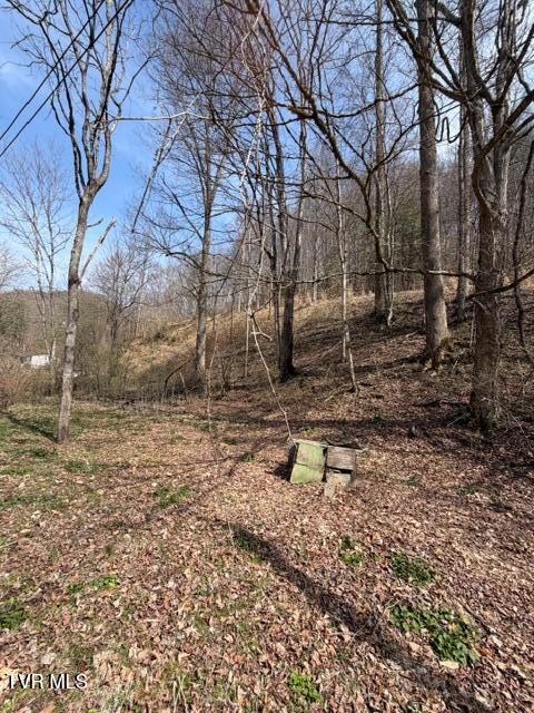 4434 Honey Branch Road St. Paul, VA 24283 - Photo 33 of 41 IMG_4837