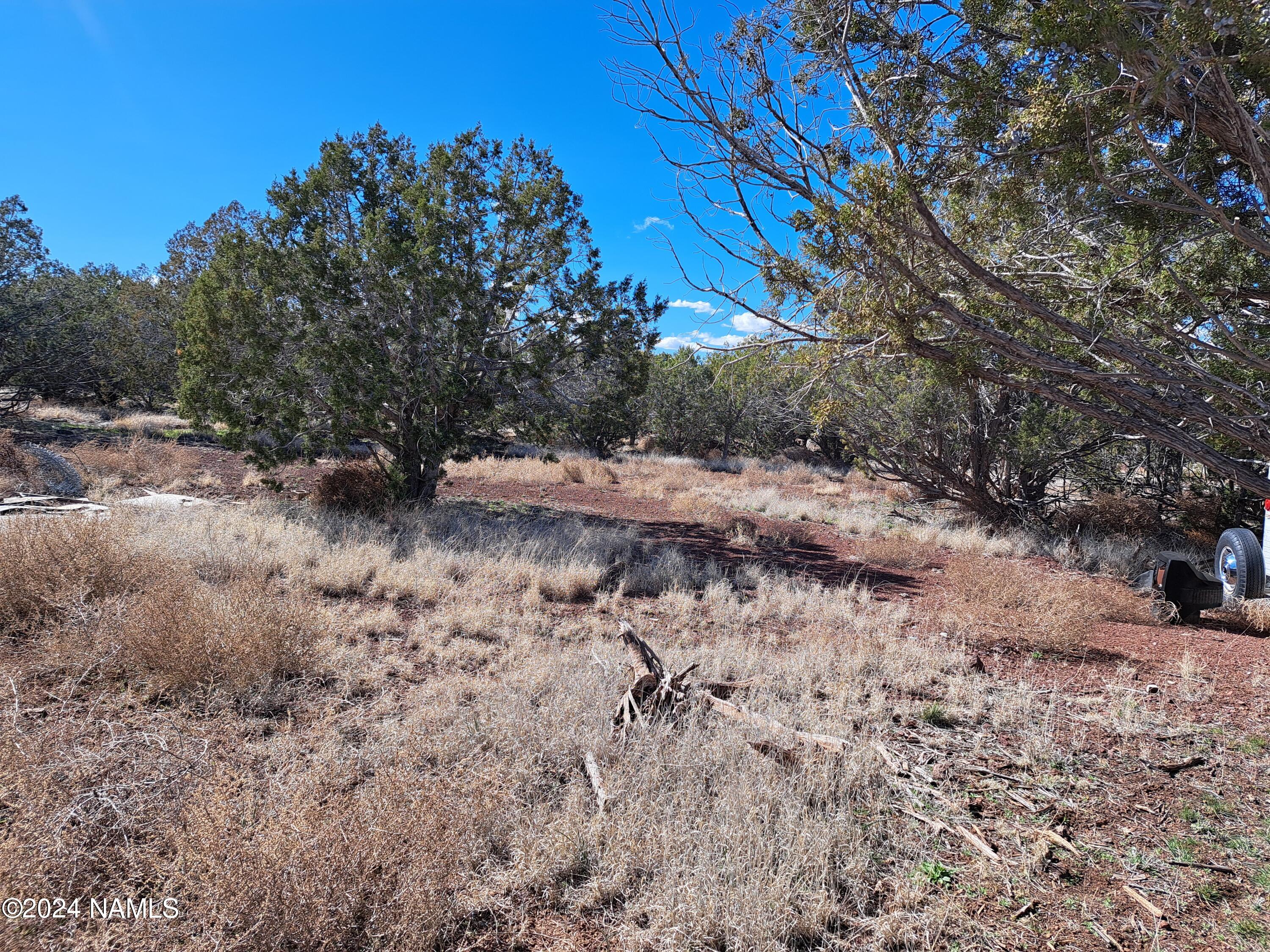 2454 Lawrence Road, Unit 953 Williams, AZ 86046 - Photo 8 of 11 20240328_150341