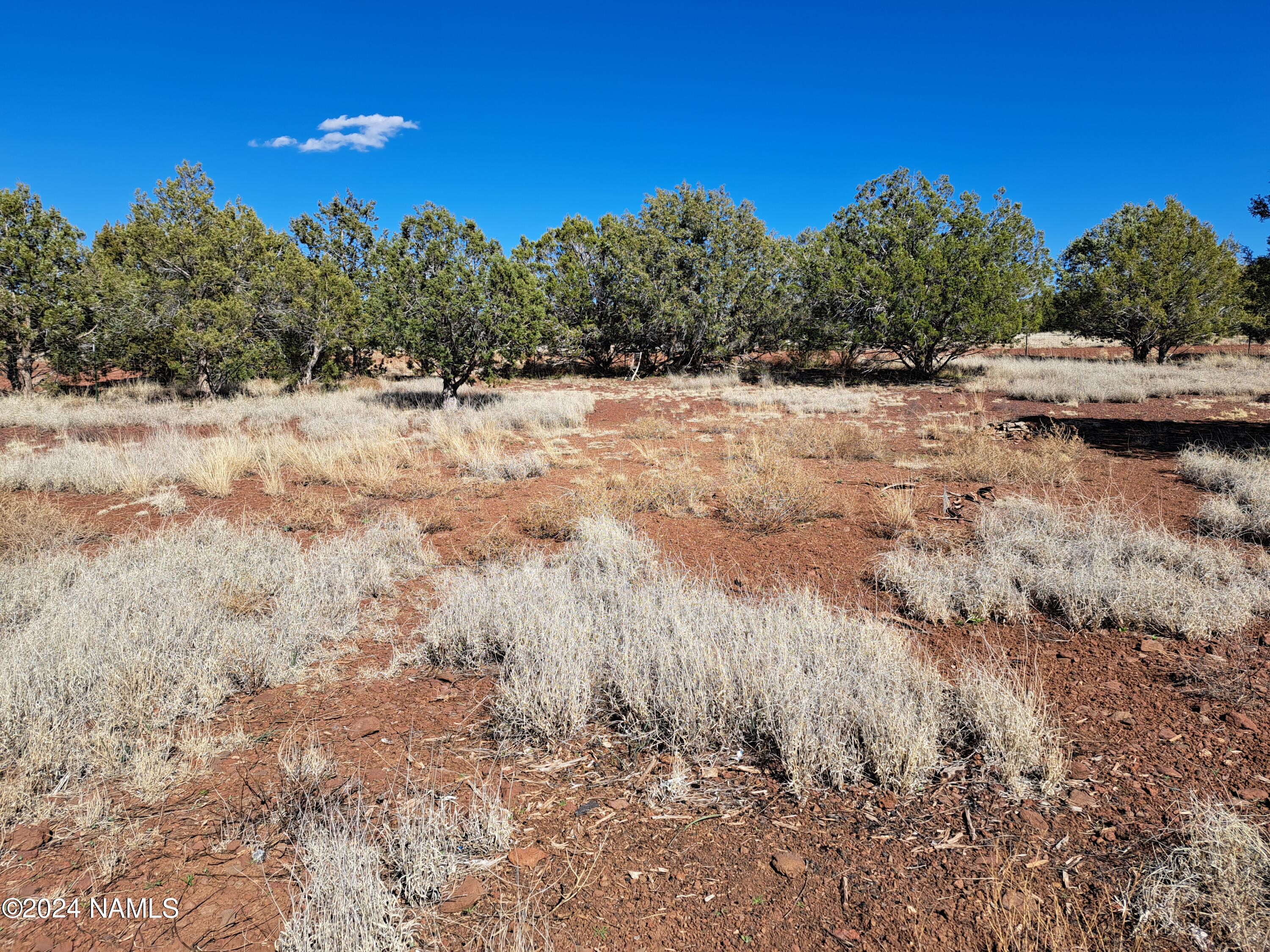 2454 Lawrence Road, Unit 953 Williams, AZ 86046 - Photo 9 of 11 20240328_151559