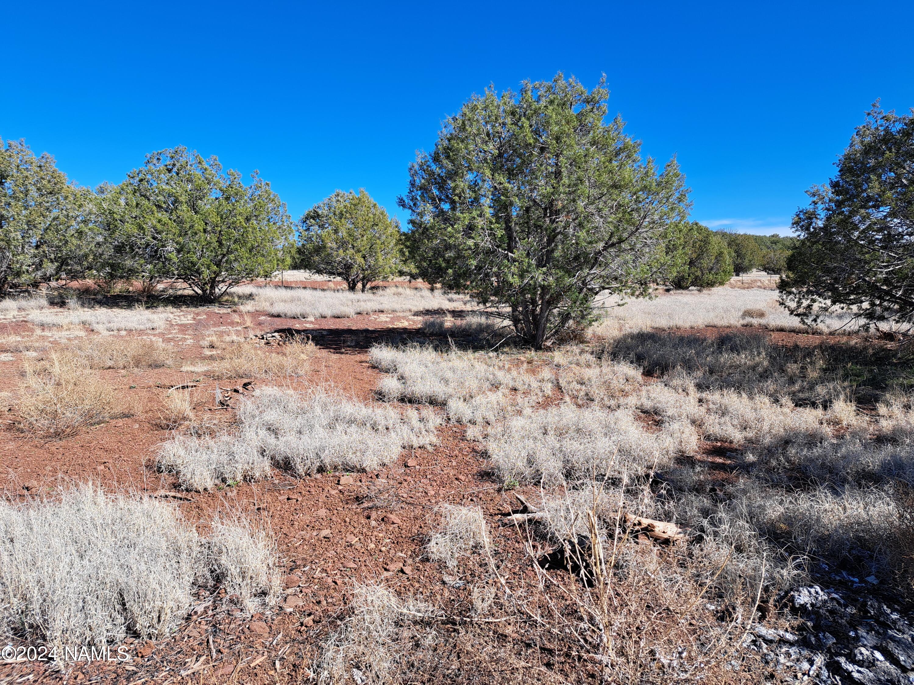 2454 Lawrence Road, Unit 953 Williams, AZ 86046 - Photo 10 of 11 20240328_151605