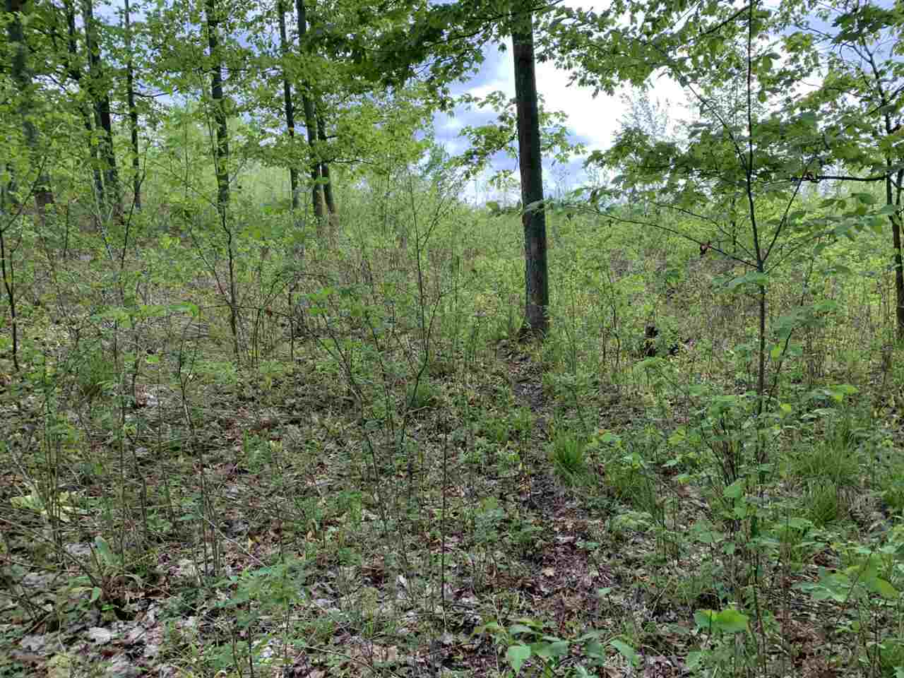 40 South 17 Road Boon, MI 49618 - Photo 23 of 33