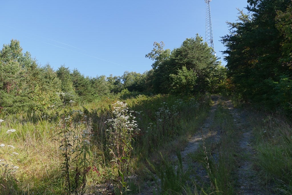 Tbd Hall Hollow Road, Unit 1 Austinville, VA 24312 - Photo 44 of 76 Gallery Image 44