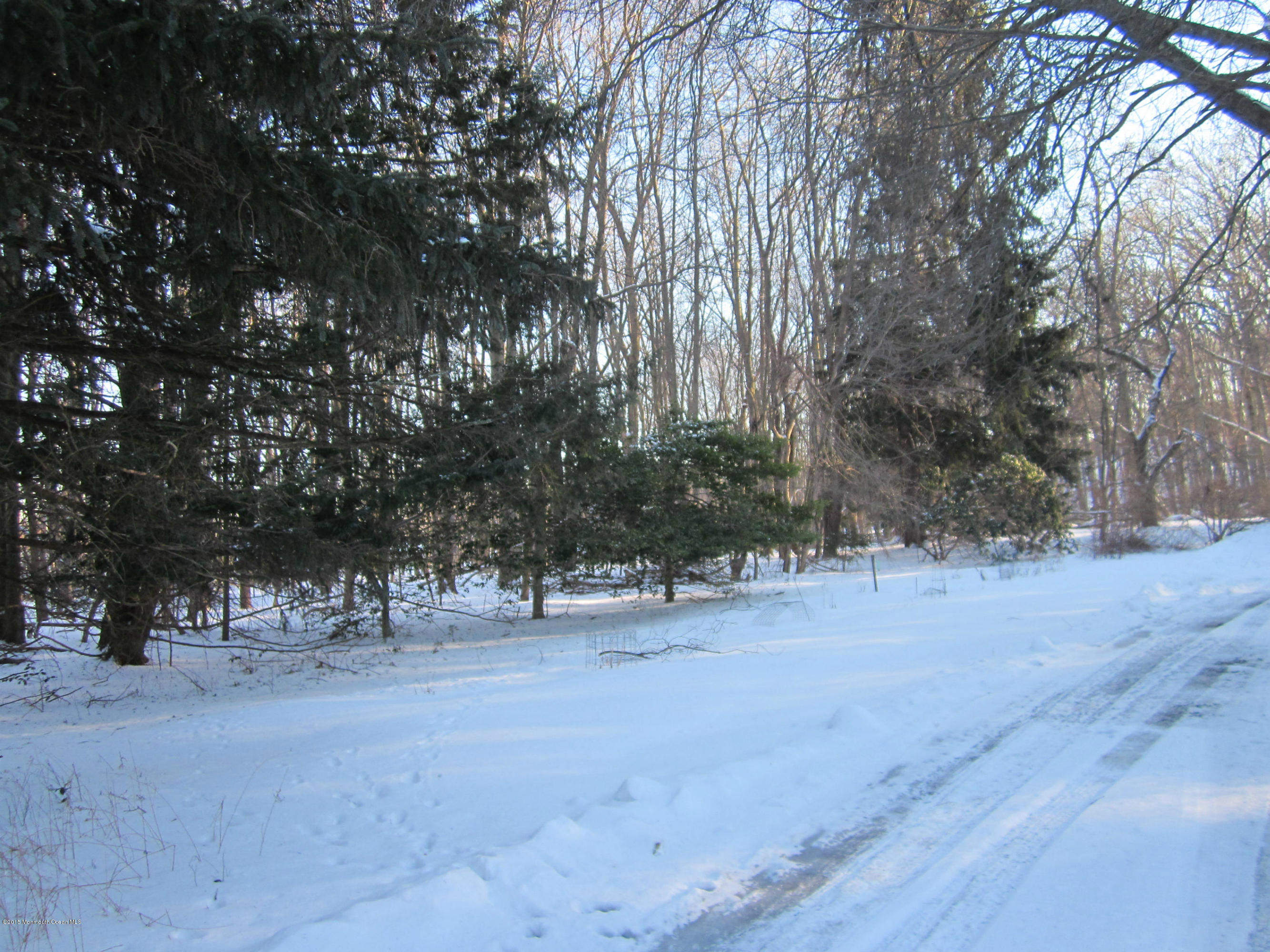 480 Brickyard Road Freehold, NJ 07728 - Photo 3 of 6 a view of outdoor space with trees