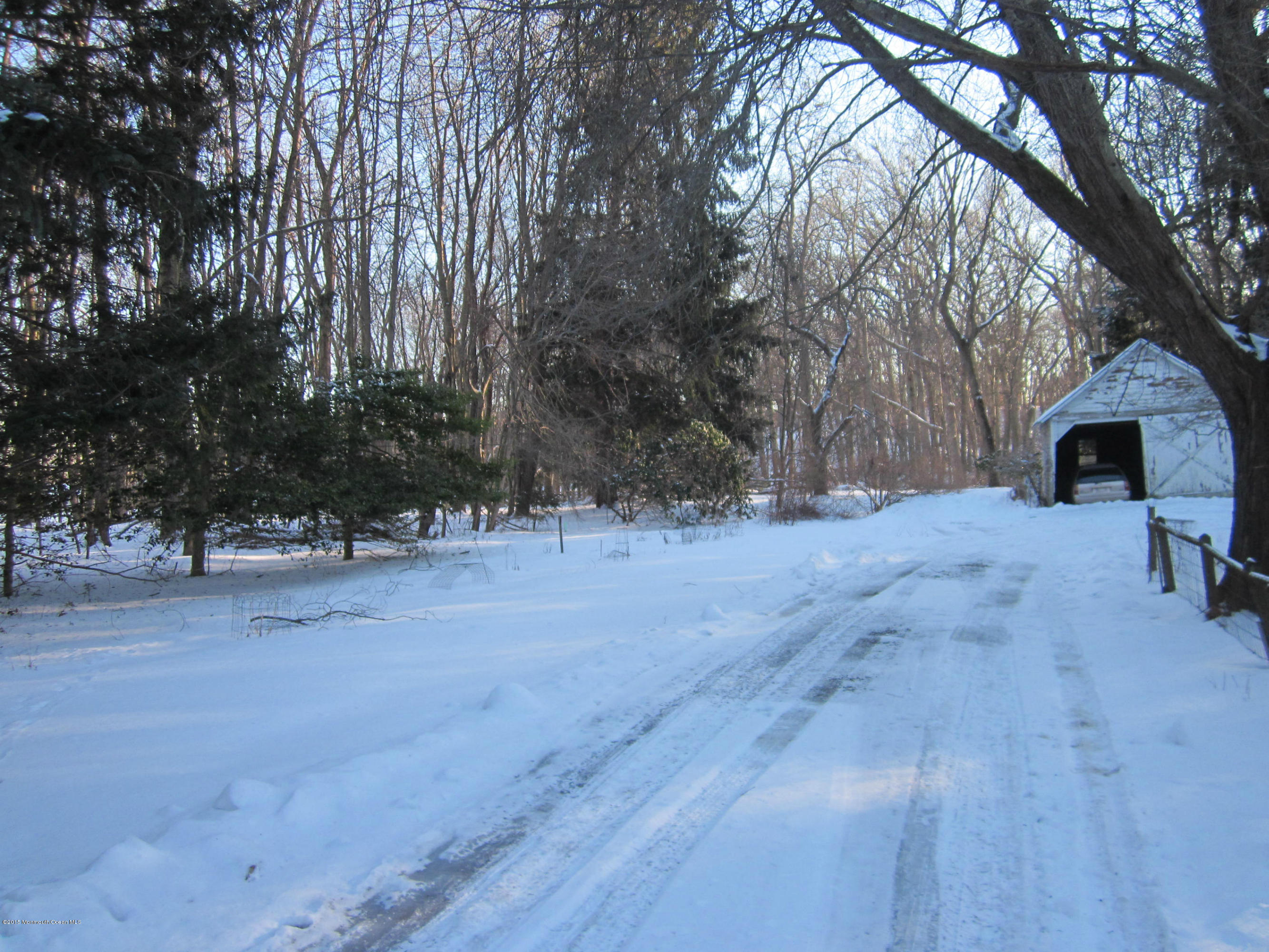 480 Brickyard Road Freehold, NJ 07728 - Photo 4 of 6 a view of a yard with a tree