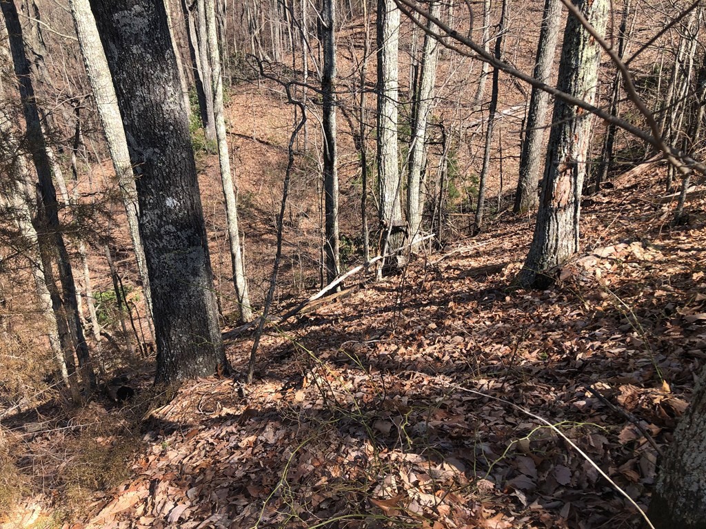 22 Eagle Point Sevierville, TN 37876 - Photo 8 of 8