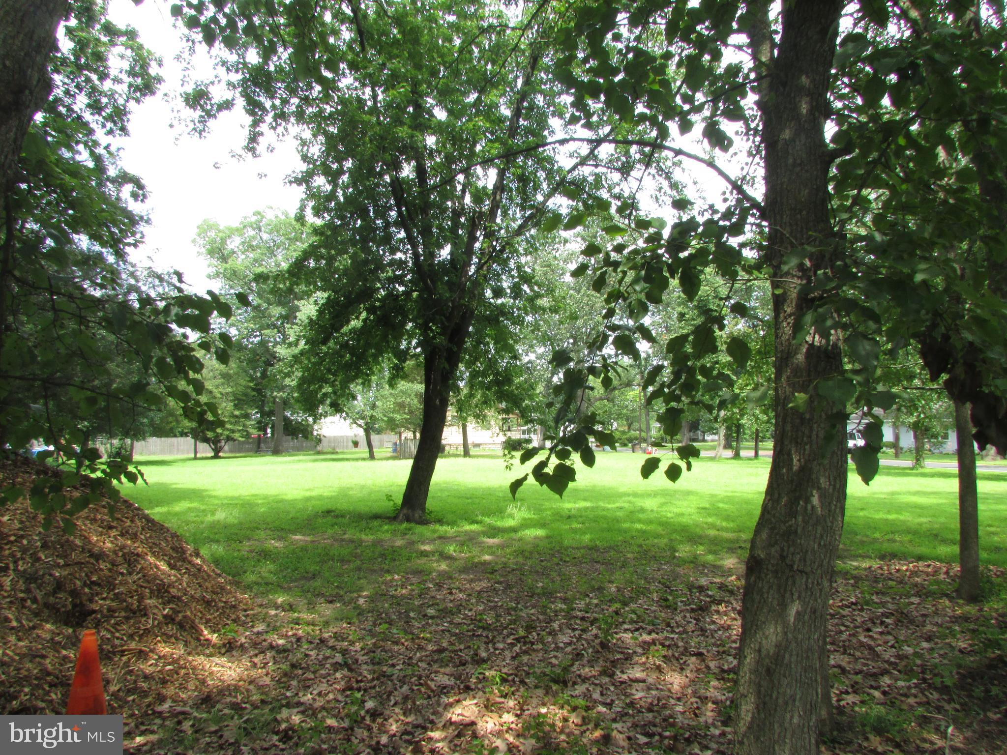 1215 Bridgeboro Road Edgewater Park, NJ 08010 - Photo 11 of 13 a view of a trees in a yard