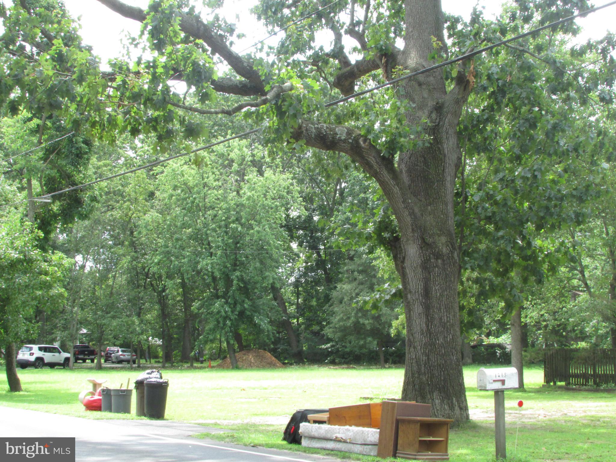 1215 Bridgeboro Road Edgewater Park, NJ 08010 - Photo 4 of 13 a view of backyard with tree