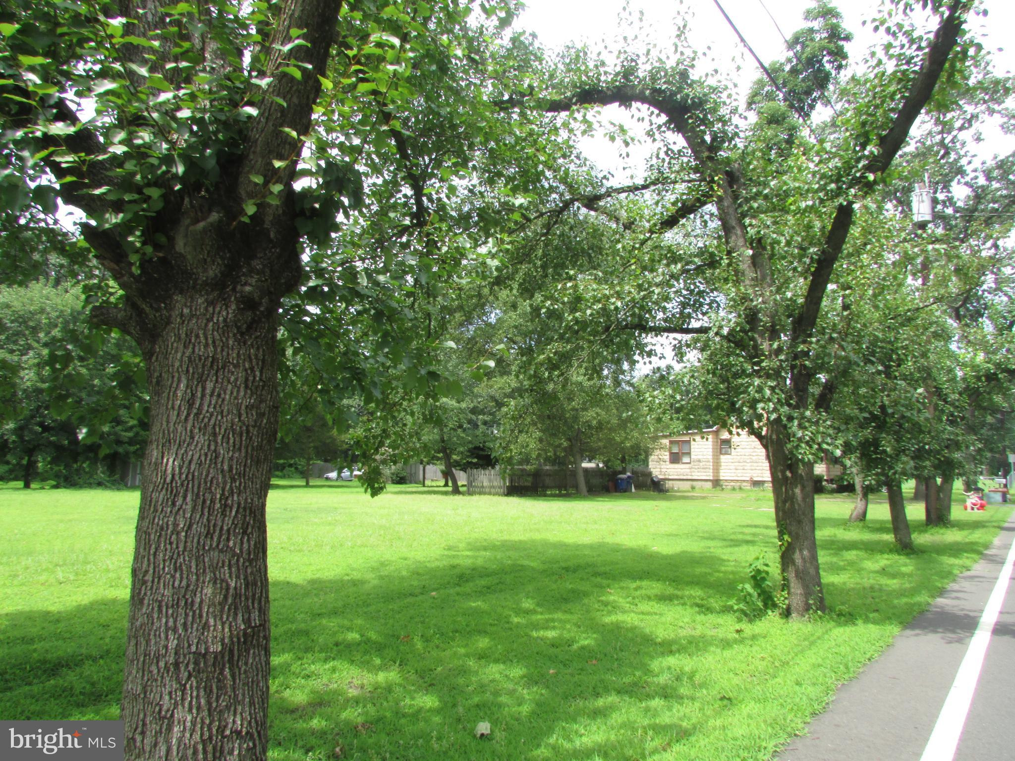 1215 Bridgeboro Road Edgewater Park, NJ 08010 - Photo 6 of 13 a view of green field with a tree