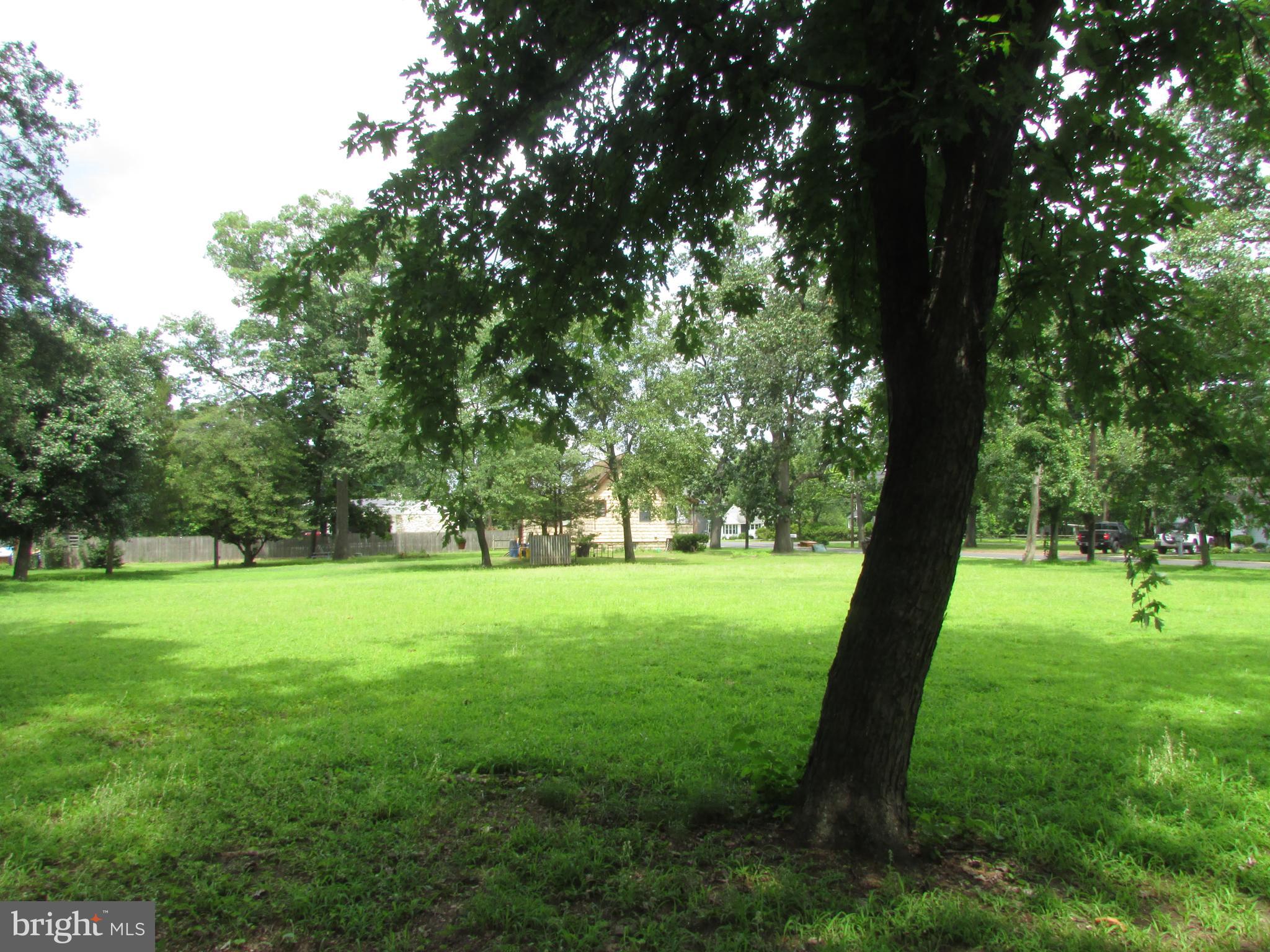 1215 Bridgeboro Road Edgewater Park, NJ 08010 - Photo 8 of 13 a view of grassy field with trees
