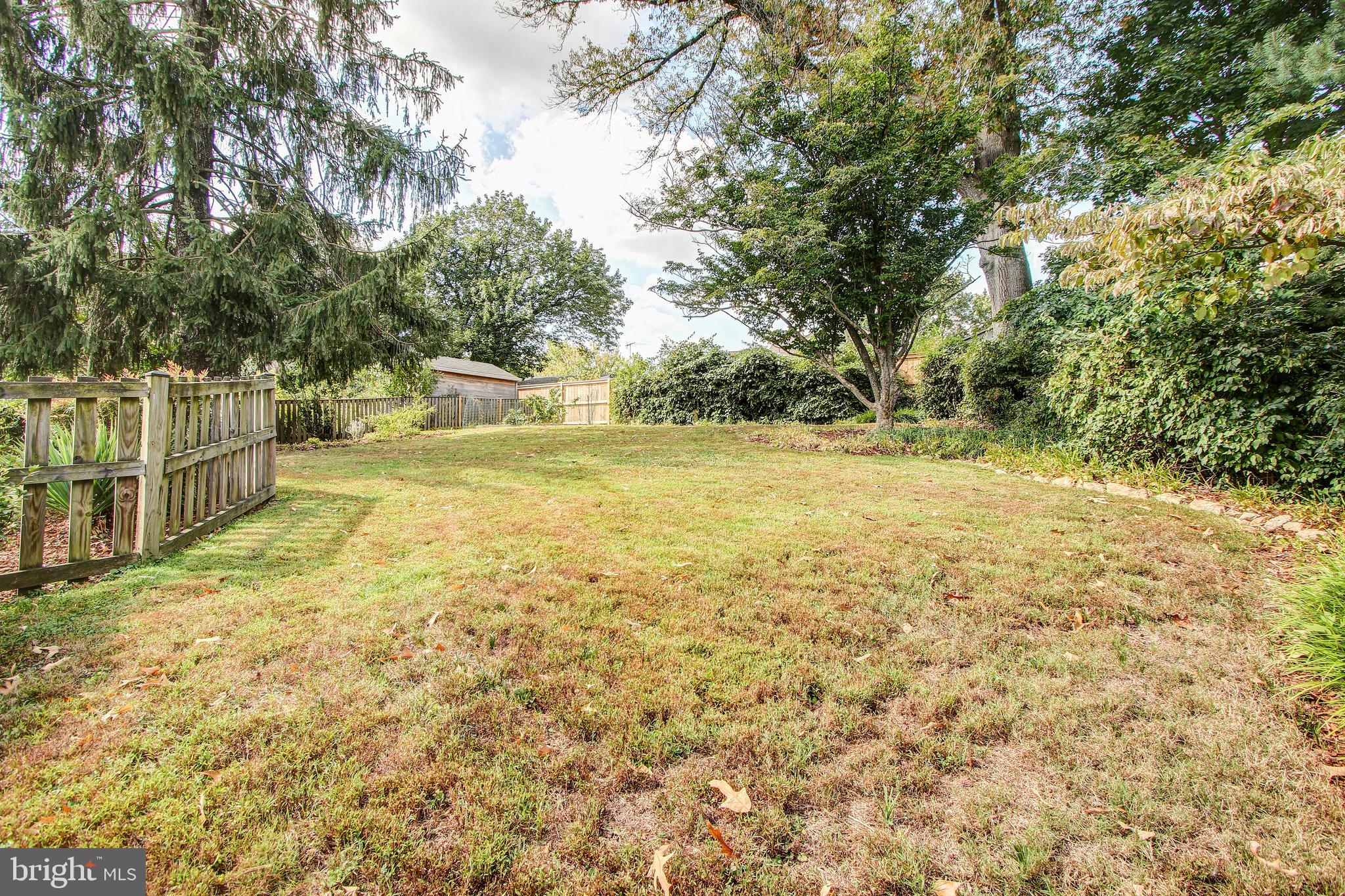 9909 Cherry Tree Lane Silver Spring, MD 20901 - Photo 39 of 45 Backyard