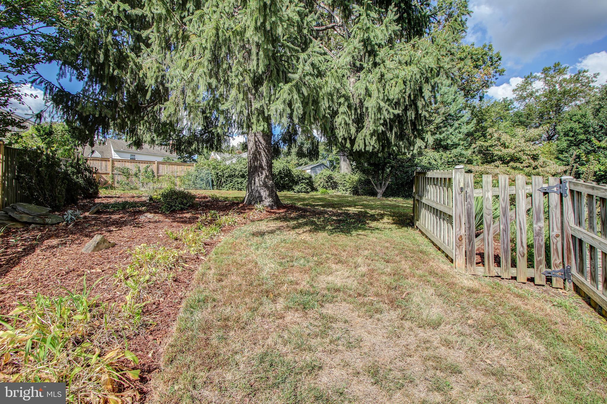 9909 Cherry Tree Lane Silver Spring, MD 20901 - Photo 40 of 45 Yard