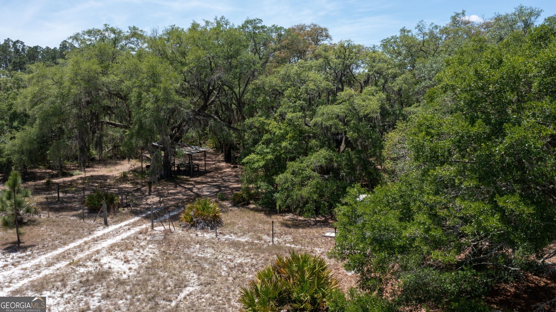 779 Ralph Davis Road, Unit 1 LAND LOT Folkston, GA 31537 - Photo 27 of 28 a view of a forest with trees