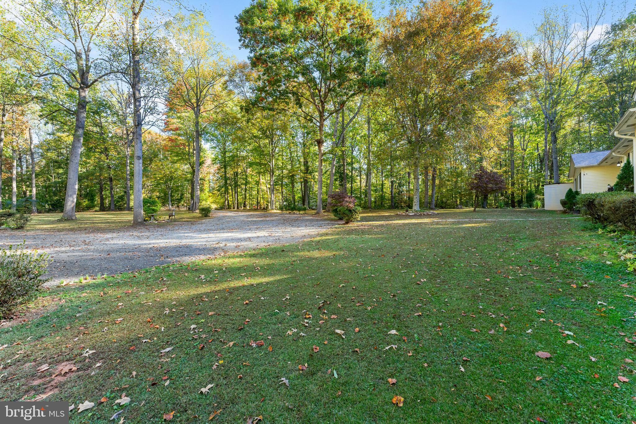 141 Meadows Road Fredericksburg, VA 22406 - Photo 11 of 95 Gallery Image 11