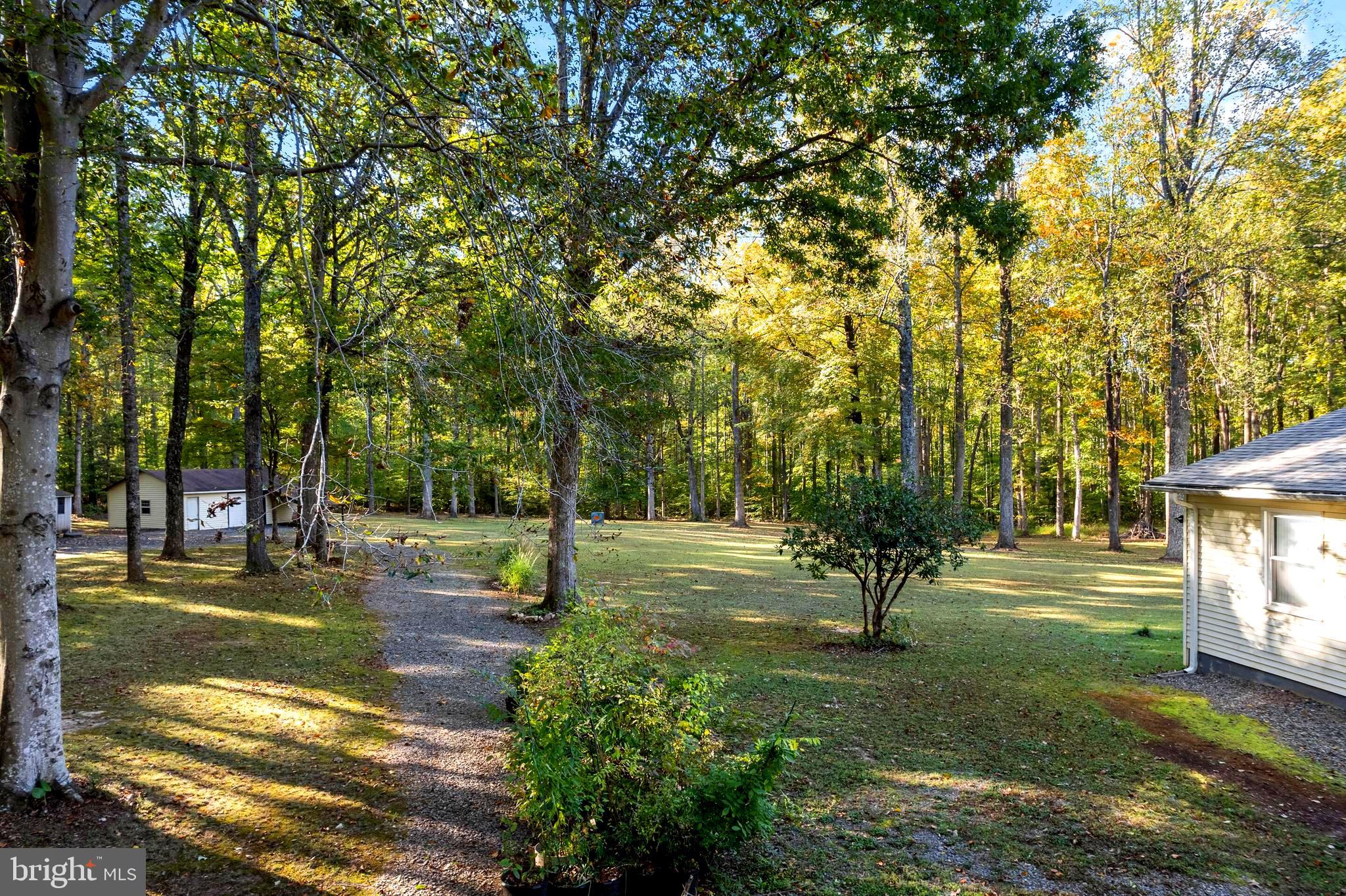 141 Meadows Road Fredericksburg, VA 22406 - Photo 13 of 95 Gallery Image 13