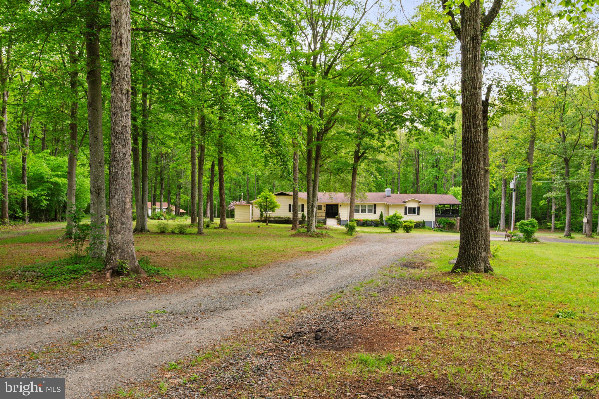 141 Meadows Road Fredericksburg, VA 22406 - Photo 25 of 95 Gallery Image 25