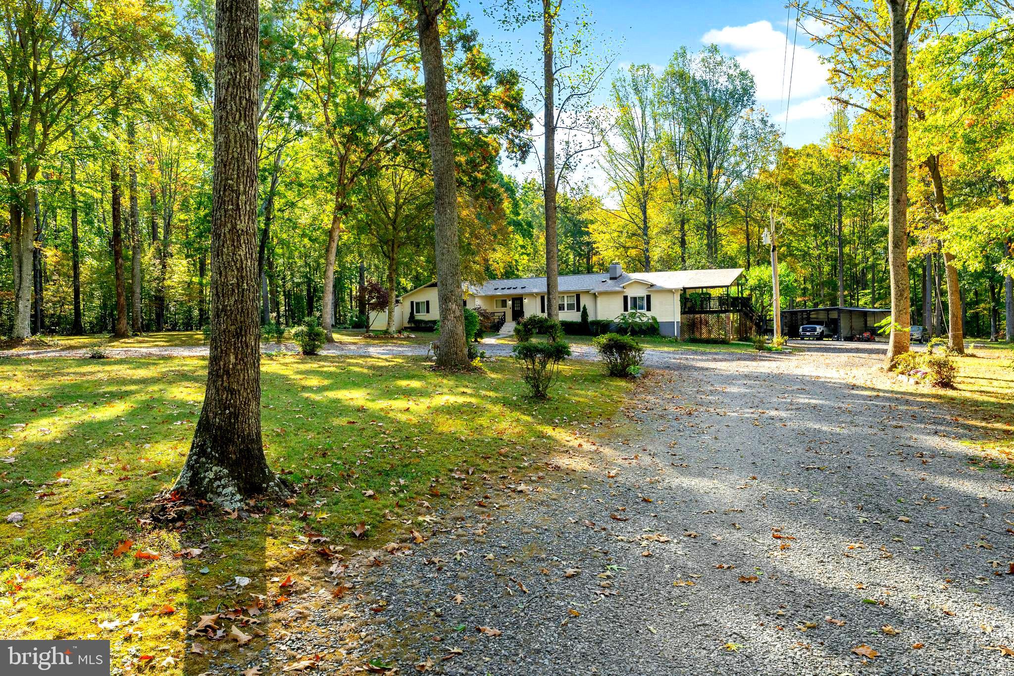 141 Meadows Road Fredericksburg, VA 22406 - Photo 9 of 95 Gallery Image 9