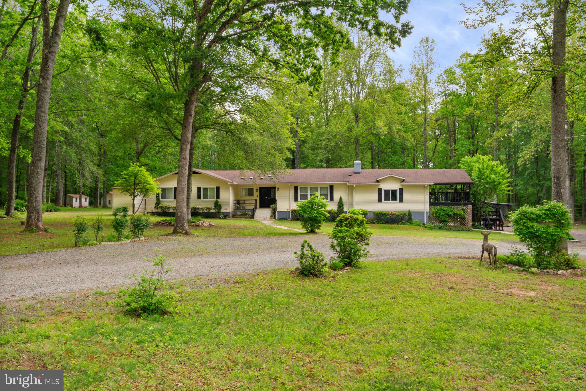141 Meadows Road Fredericksburg, VA 22406 - Photo 92 of 95 Picturesque & Secluded