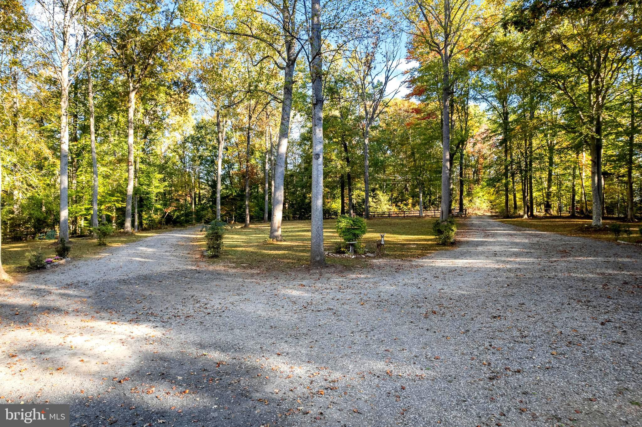 141 Meadows Road Fredericksburg, VA 22406 - Photo 10 of 95 Circular Driveway