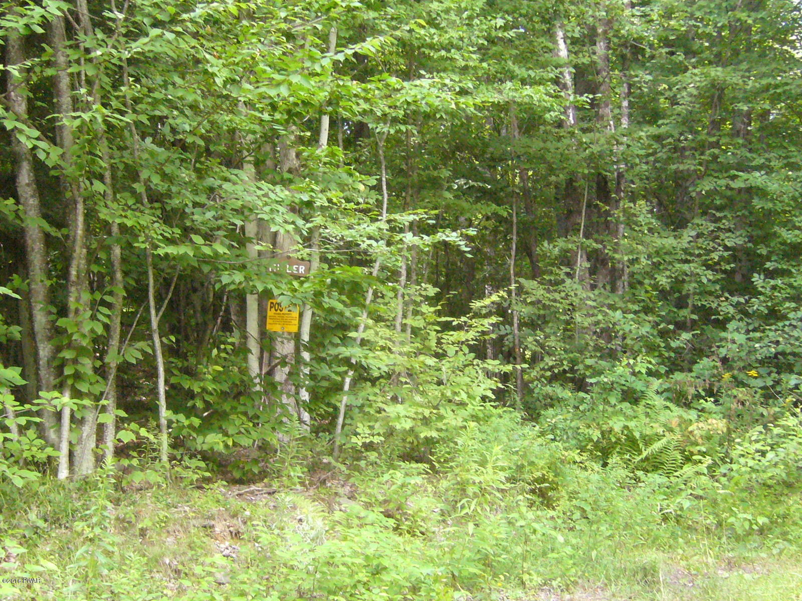 Willoway Road Starlight, PA 18461 - Photo 8 of 9