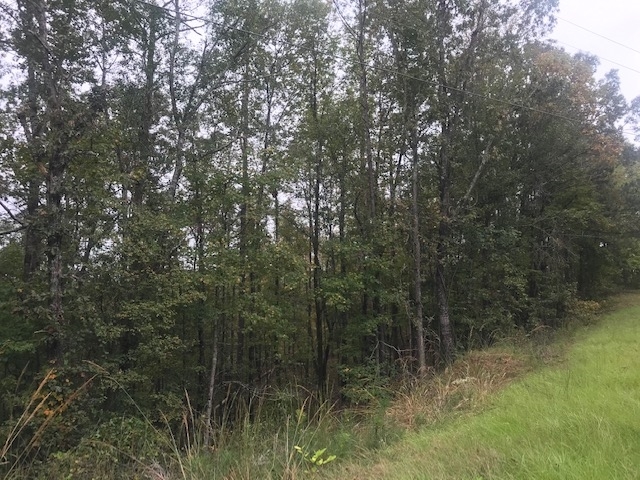 0 Old Ferry Road, Unit 77 Sparta, GA 31087 - Photo 1 of 1 Gallery Image 1