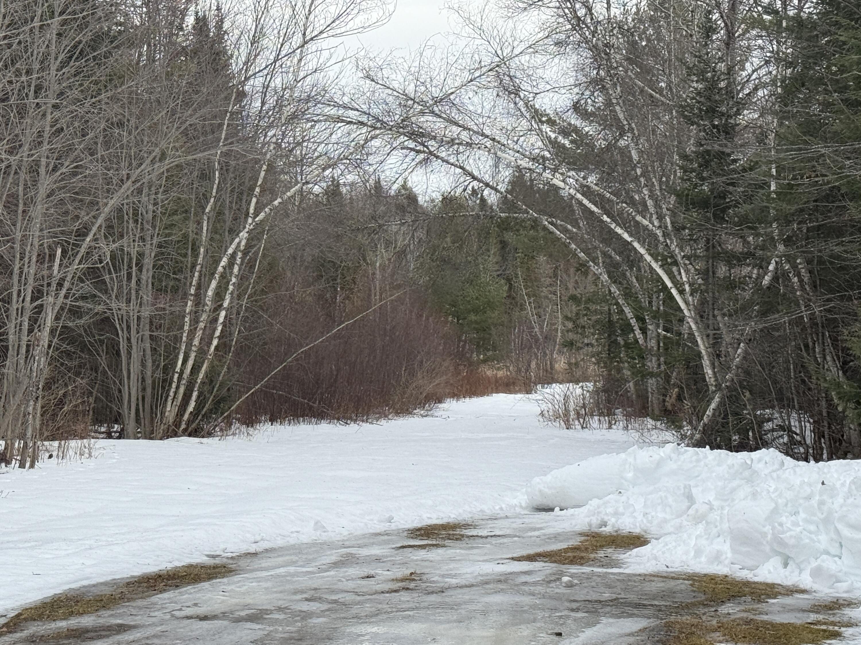 12 Old Winn Road Winn, ME 04495 - Photo 2 of 20 IMG_8482