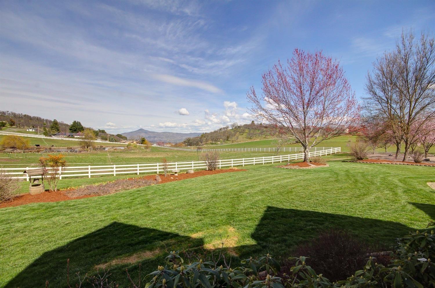 4491 Pioneer Road Medford, OR 97501 - Photo 9 of 34 Views of the gorgeous property and valle