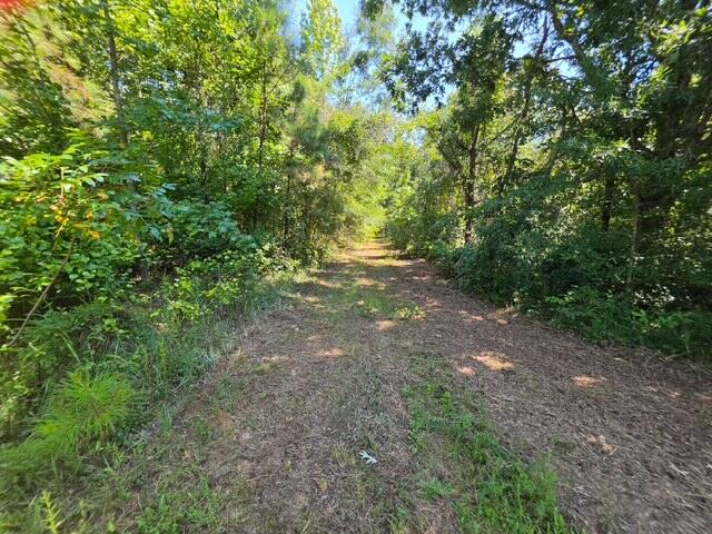 260 Co Road Burnsville, MS 38833 - Photo 5 of 8 Gallery Image 5