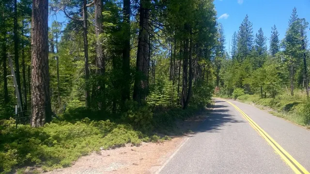 a view of a pathway of a park
