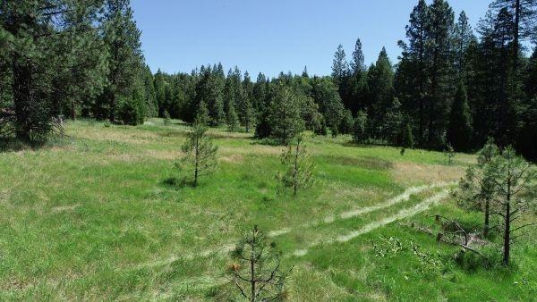 490 Omo Ranch Road Somerset, CA 95684 - Photo 12 of 20 a big yard with lots of green space and trees in the background