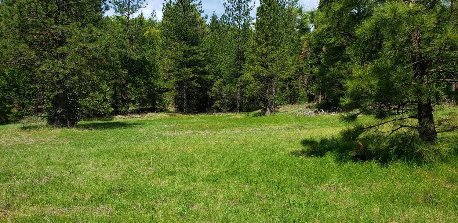 490 Omo Ranch Road Somerset, CA 95684 - Photo 13 of 20 a big yard with lots of green space and deers