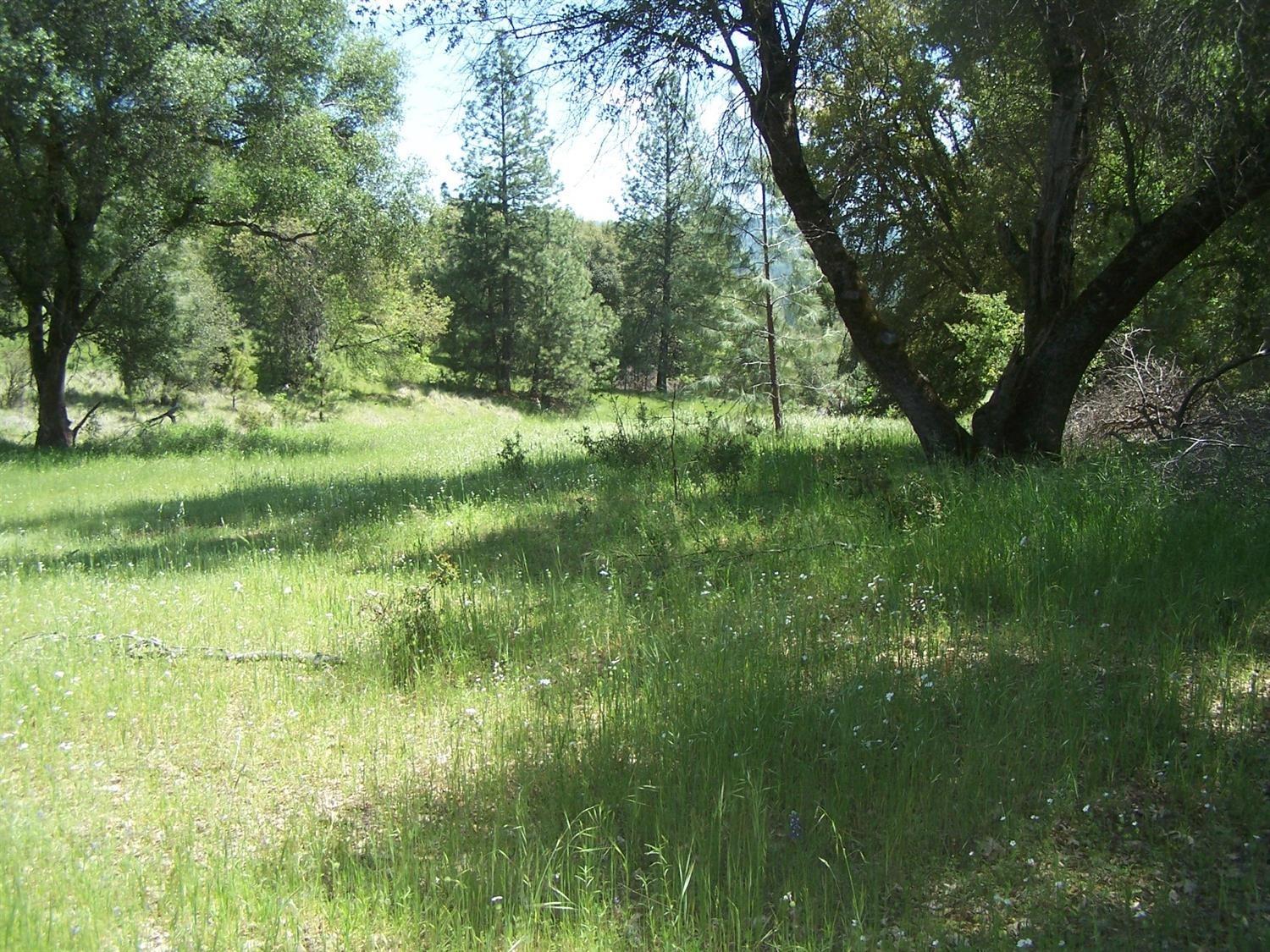 490 Omo Ranch Road Somerset, CA 95684 - Photo 14 of 20