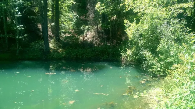 a view of backyard with green space