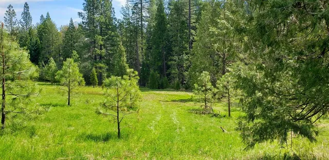 a view of outdoor space