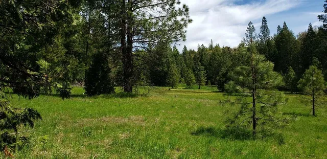 $1,225,000 | 490 Omo Ranch Road, Somerset, CA 95684