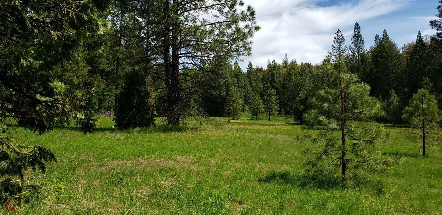 490 Omo Ranch Road Somerset, CA 95684 - Photo 20 of 20 a view of outdoor space