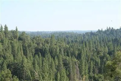 a view of a green field