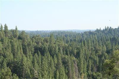 490 Omo Ranch Road Somerset, CA 95684 - Photo 2 of 20 a view of a green field