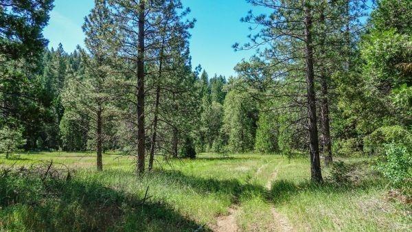 490 Omo Ranch Road Somerset, CA 95684 - Photo 5 of 20 a view of outdoor space with a garden