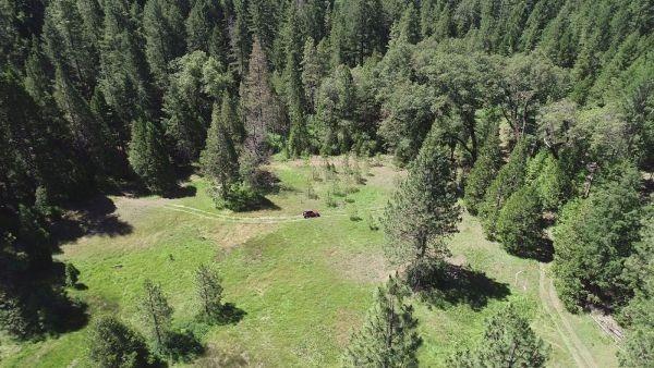 490 Omo Ranch Road Somerset, CA 95684 - Photo 9 of 20 a view of a forest with a house