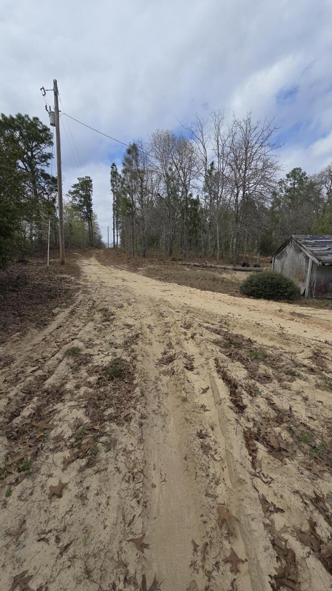 916 Windsor Road Windsor, SC 29856 - Photo 20 of 22