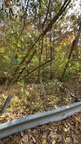 a view of plant from a window